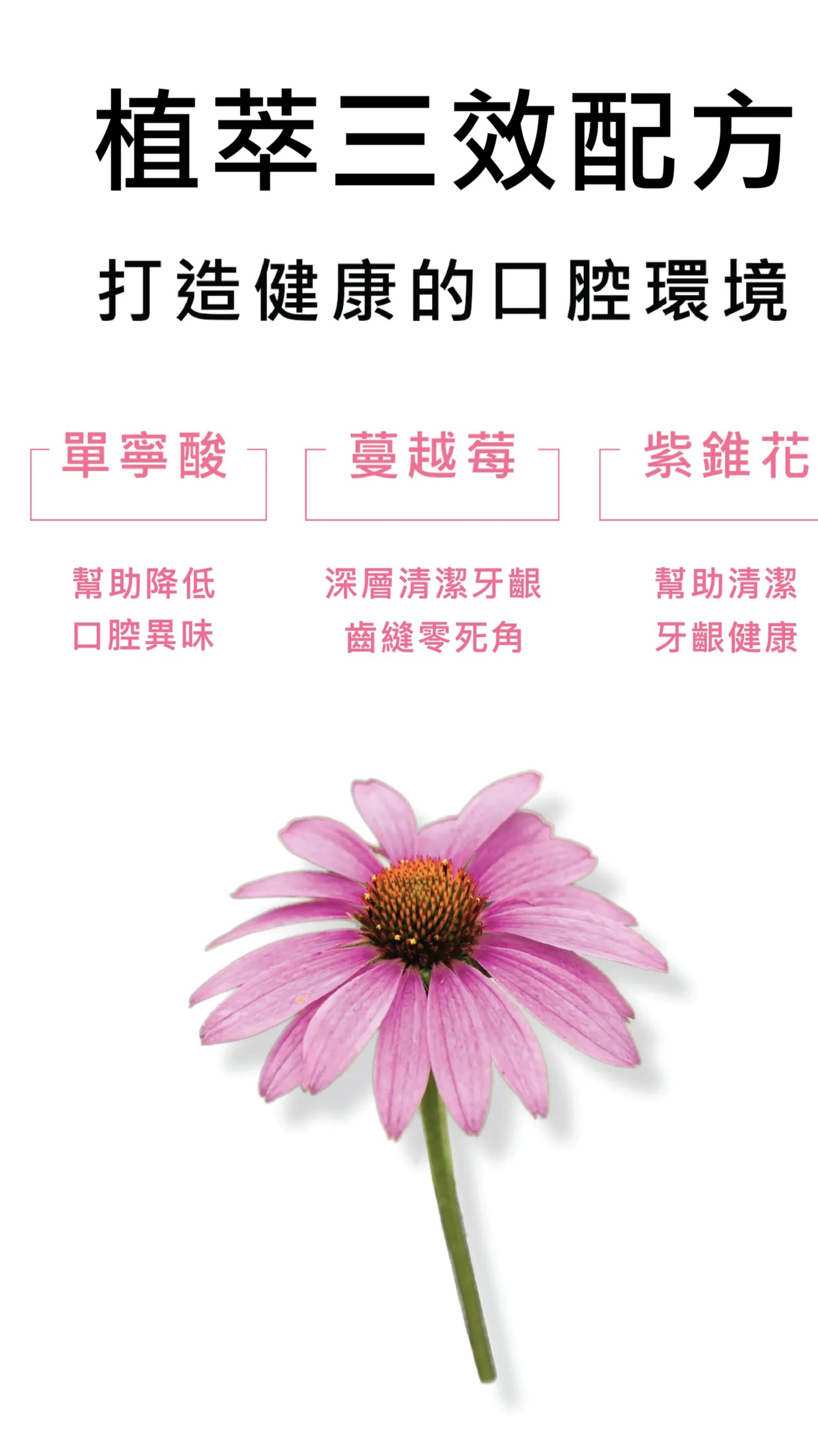 【7歲以上】貓狗口腔護理潔牙水【蔓越莓強效版】