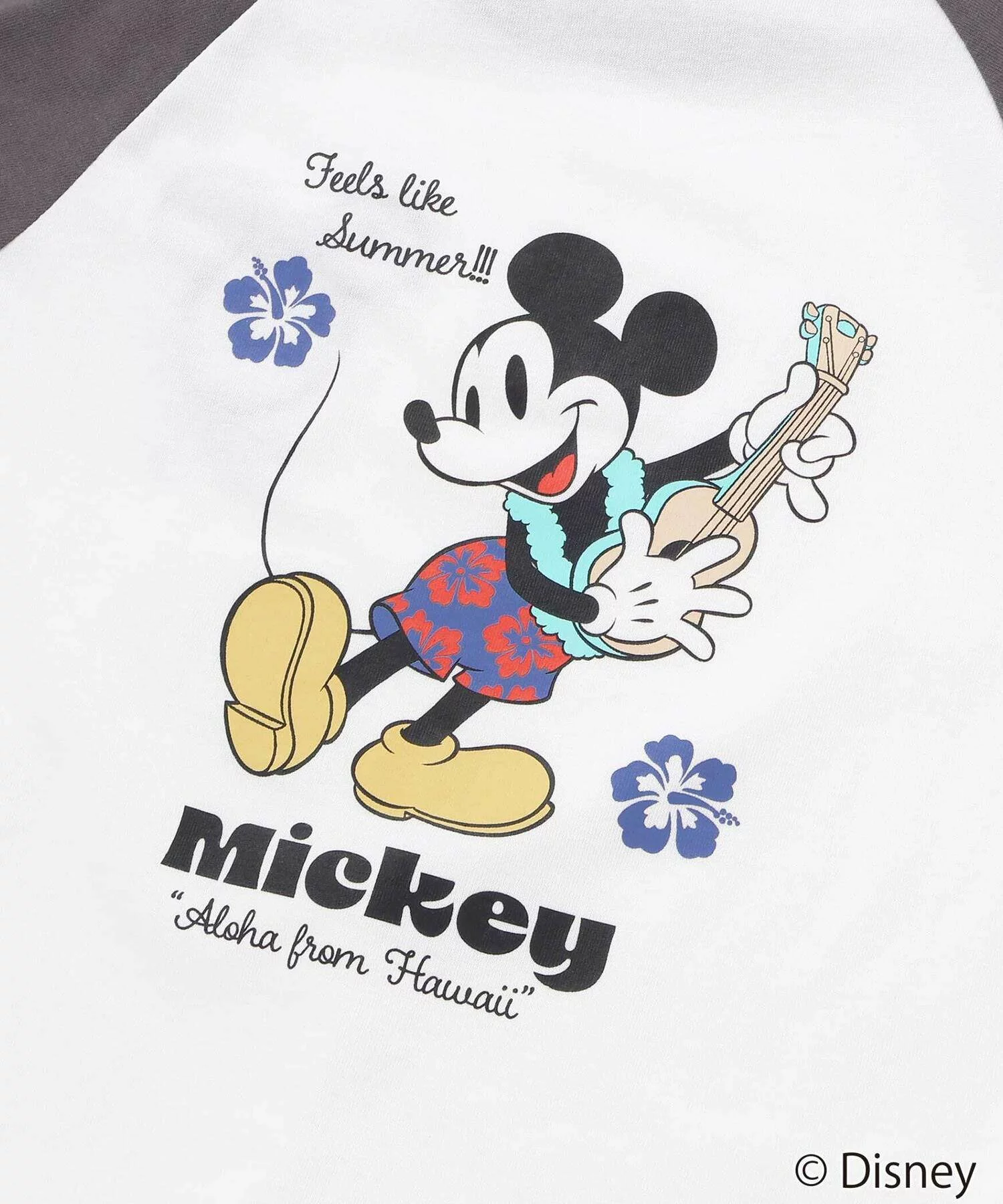  🆕【⭐訂購⭐】🇯🇵 日本直送 🌀#Mickey / #Minnie 雙面印花 刺繡 短袖 tee［3款選］🌀[ELFA-0169]