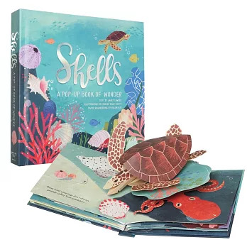 Shells: A Pop-Up Book of Wonder