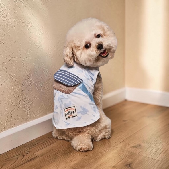 *SuperPet🇰🇷降温背冰袋Tee
