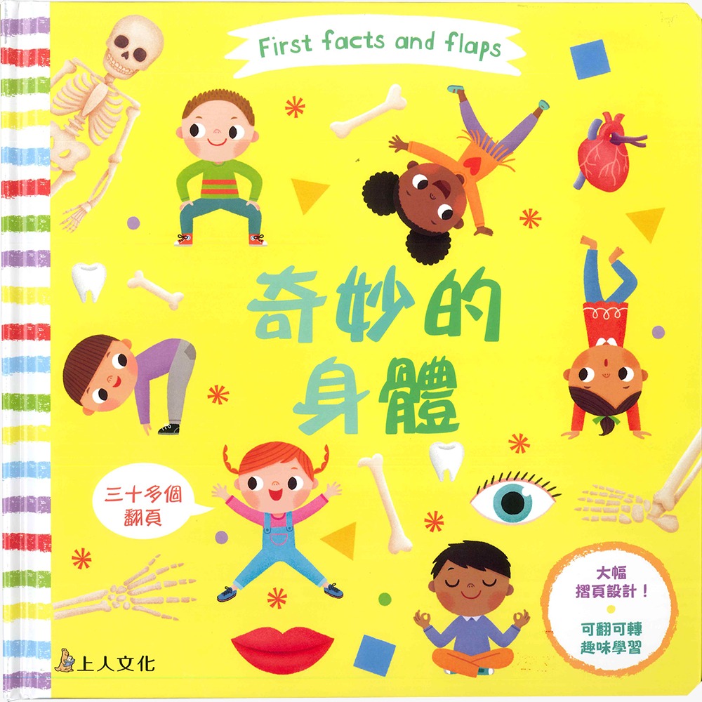 上人 First facts and flaps: 奇妙的身體