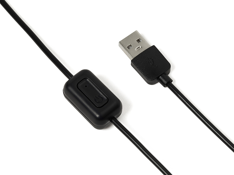 黑色 春植 車用風扇