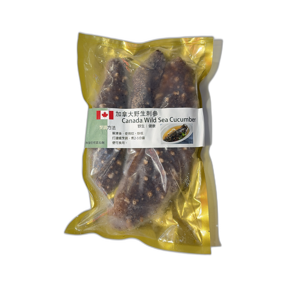 加拿大野生海參500g±10g