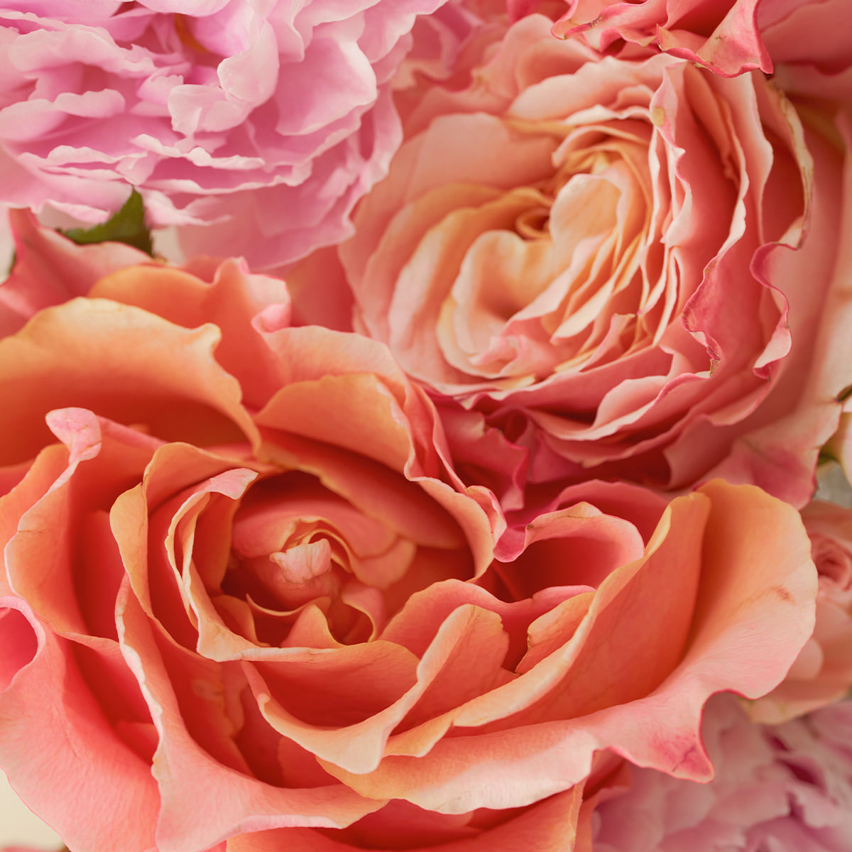 YOUSSOFUL Mary's Garden Extrait De Parfum 瑪莉花園香精 50ml (花果香)