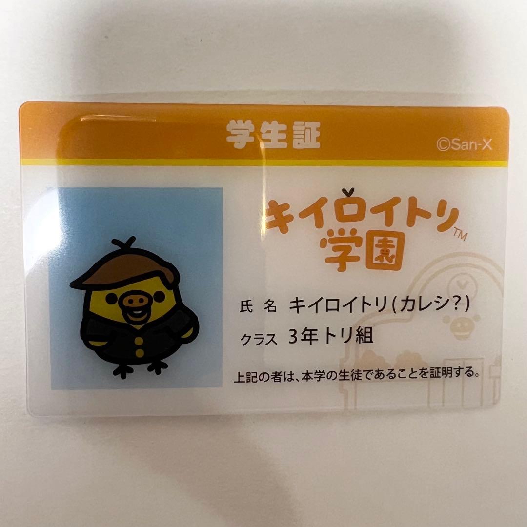 鬆弛熊 收藏卡｜現貨