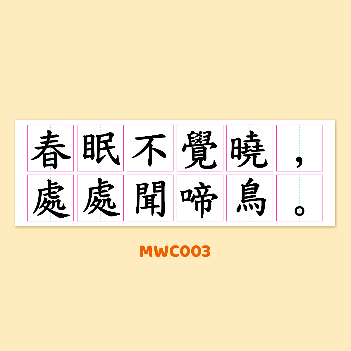 🔥大優惠🔥 全套10片  Magnetic Copybook (練字磁貼) 