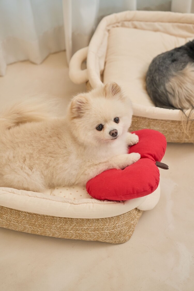 韓國 apple pillow 🍎