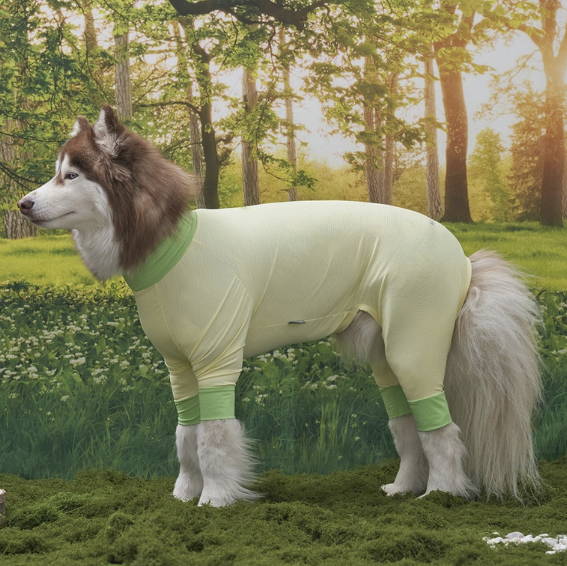 *SuperPet🇰🇷 狗狗全方位防護涼感連身衣(DG414)