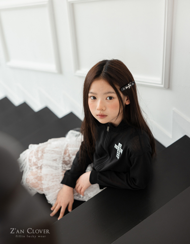 🇰🇷ZAN CLOVER髮夾