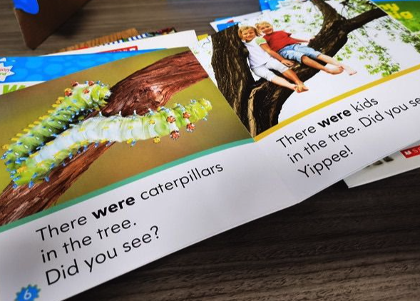 Scholastic Nonfiction Sight Word Readers ABCD 學樂小讀者 入門關鍵詞 高頻詞 基礎詞｜4 boxes 100 books｜點讀版