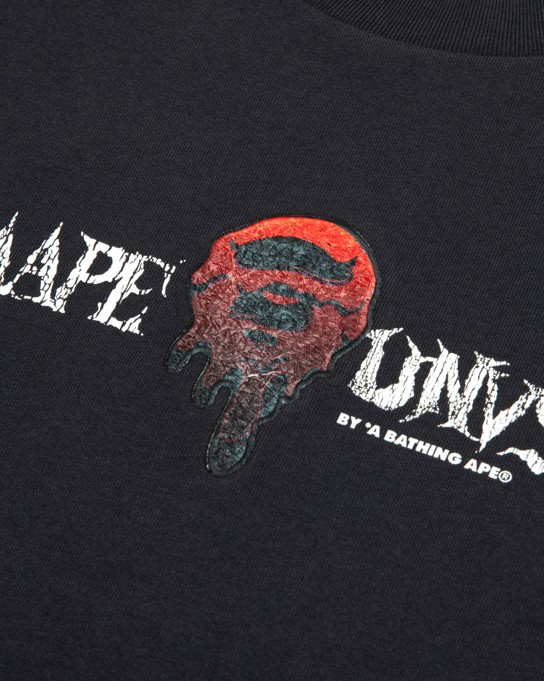 AAPE AAPEUNVS main long tee (1965XXR)