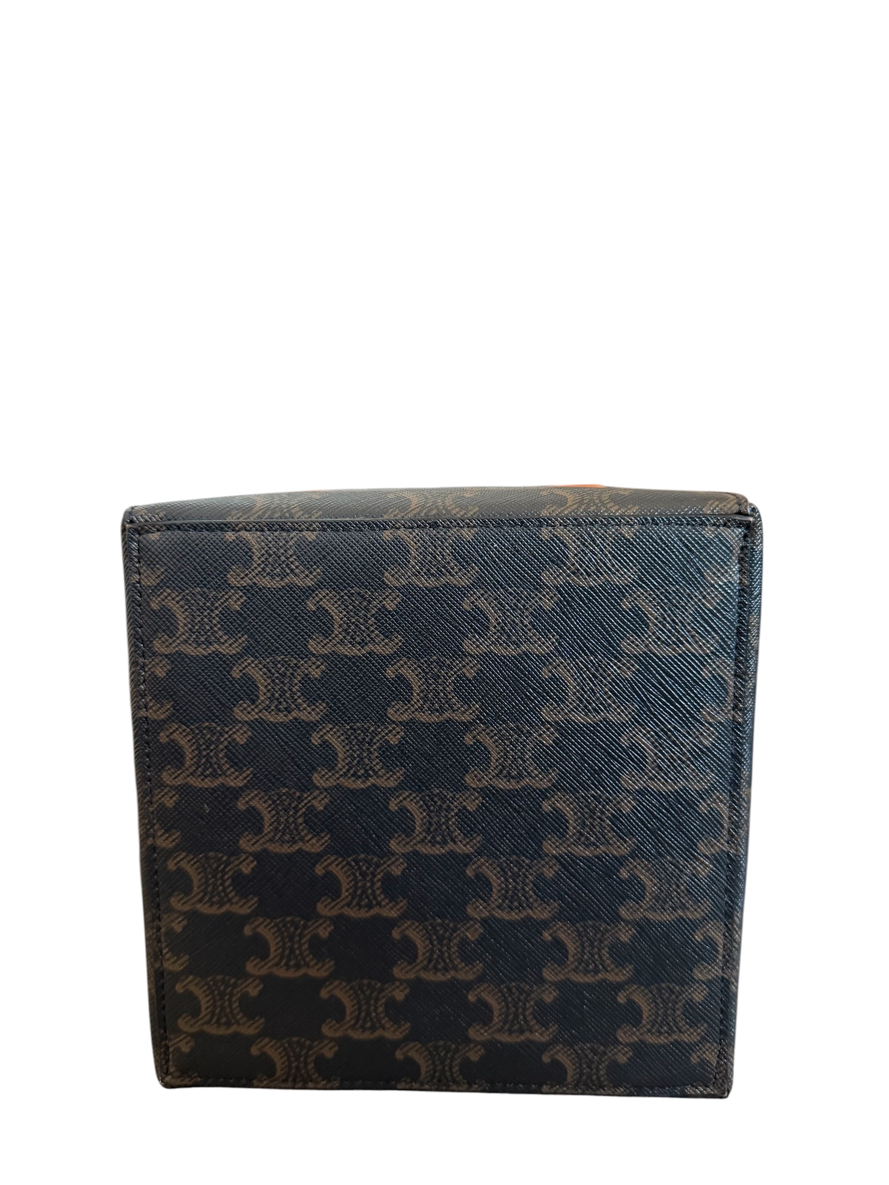 Pre-Owned CELINE Triomphe Canvas Cuir Cube / Product Code: W52002