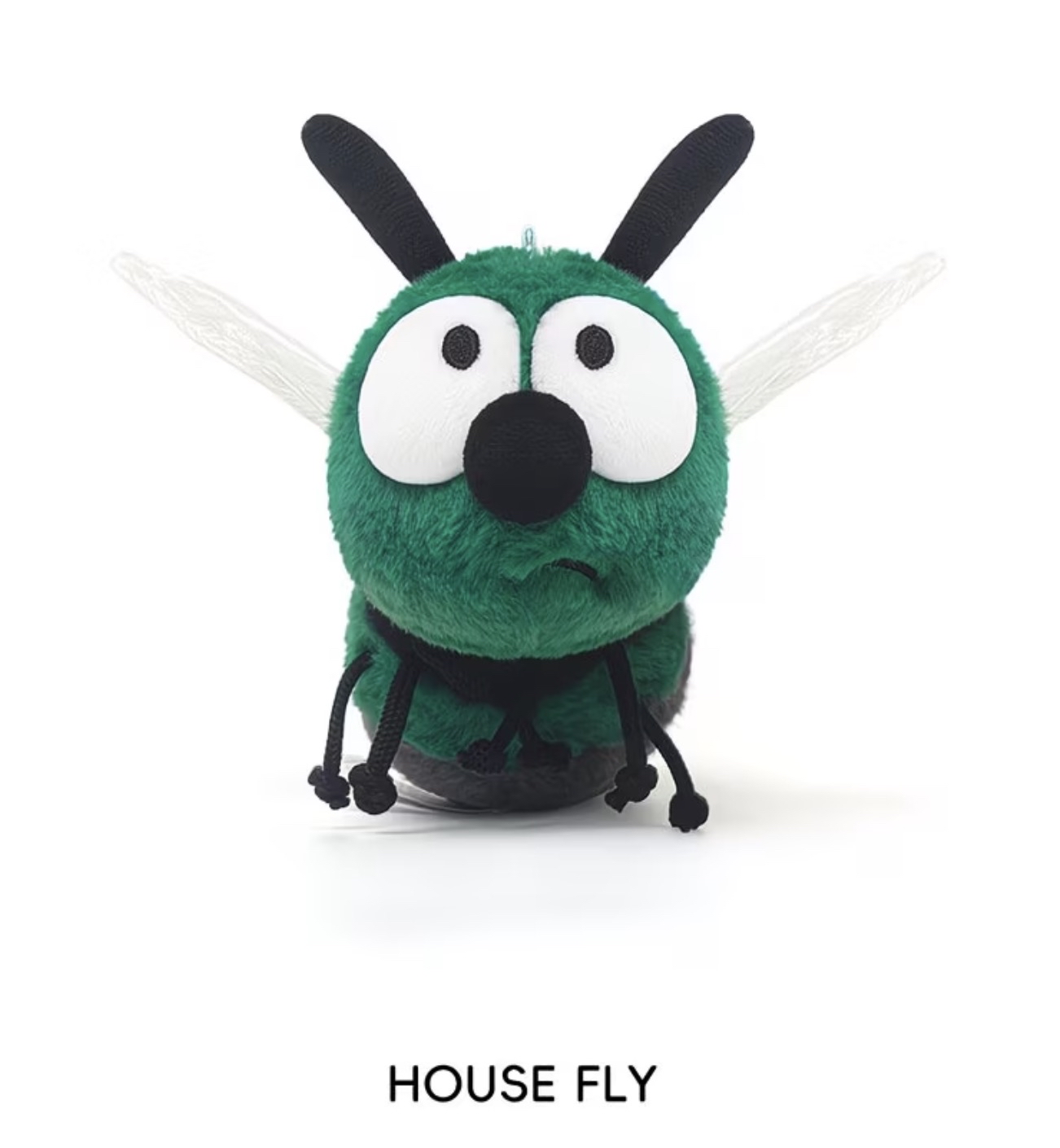 Mung Bean Fly 