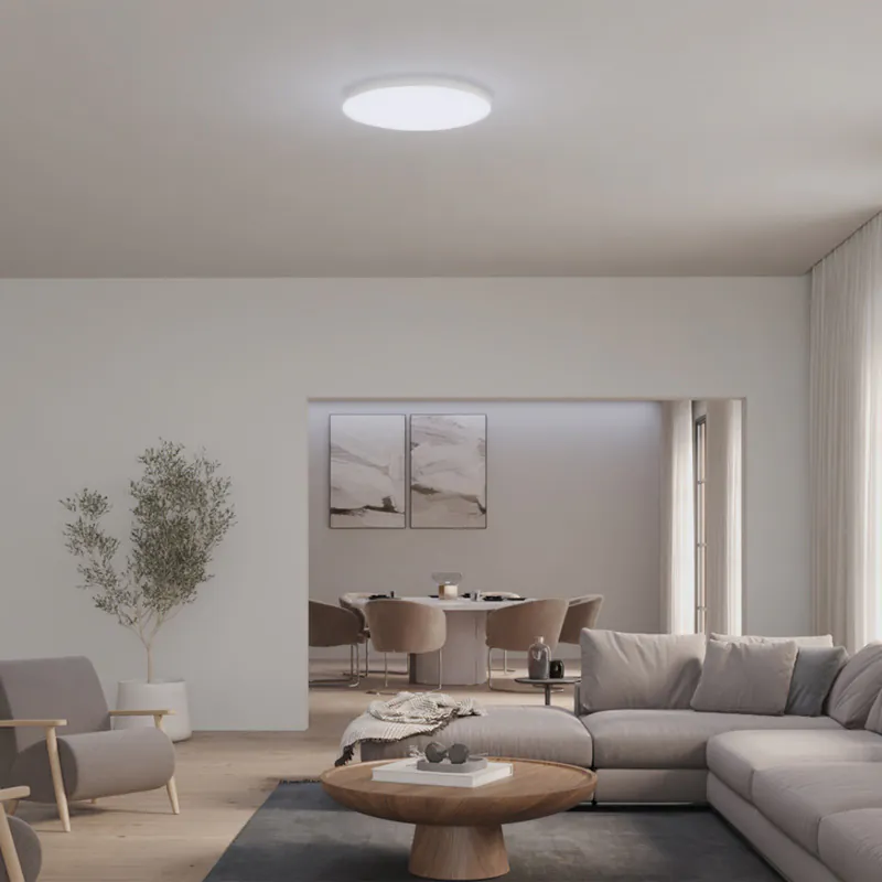 [飛利浦直送 原裝行貨2年保養] 飛利浦 Hue Datura S 圓形吸頂面板燈 – 小尺寸智能 LED 燈 可調光可調色溫 48W