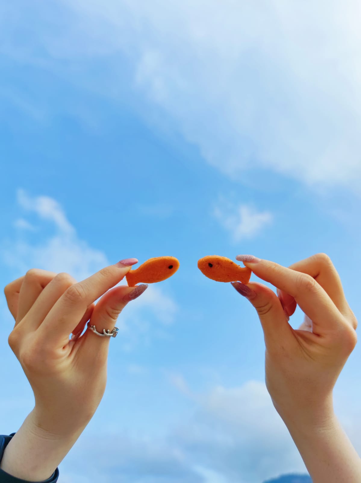 鬆脆三文魚／藍鱈魚魚仔