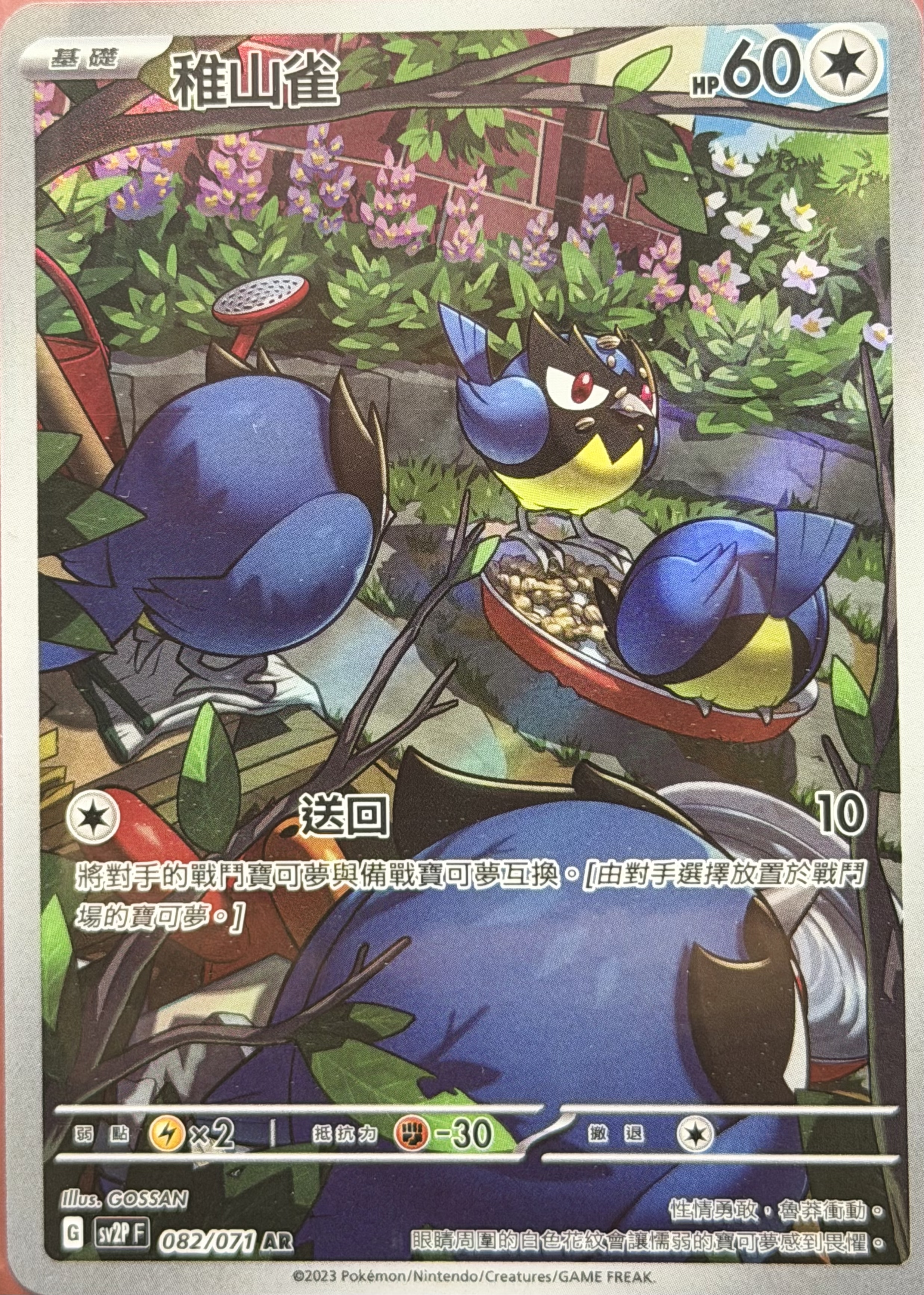SV2P 冰雪險境 082/071 稚山雀 AR