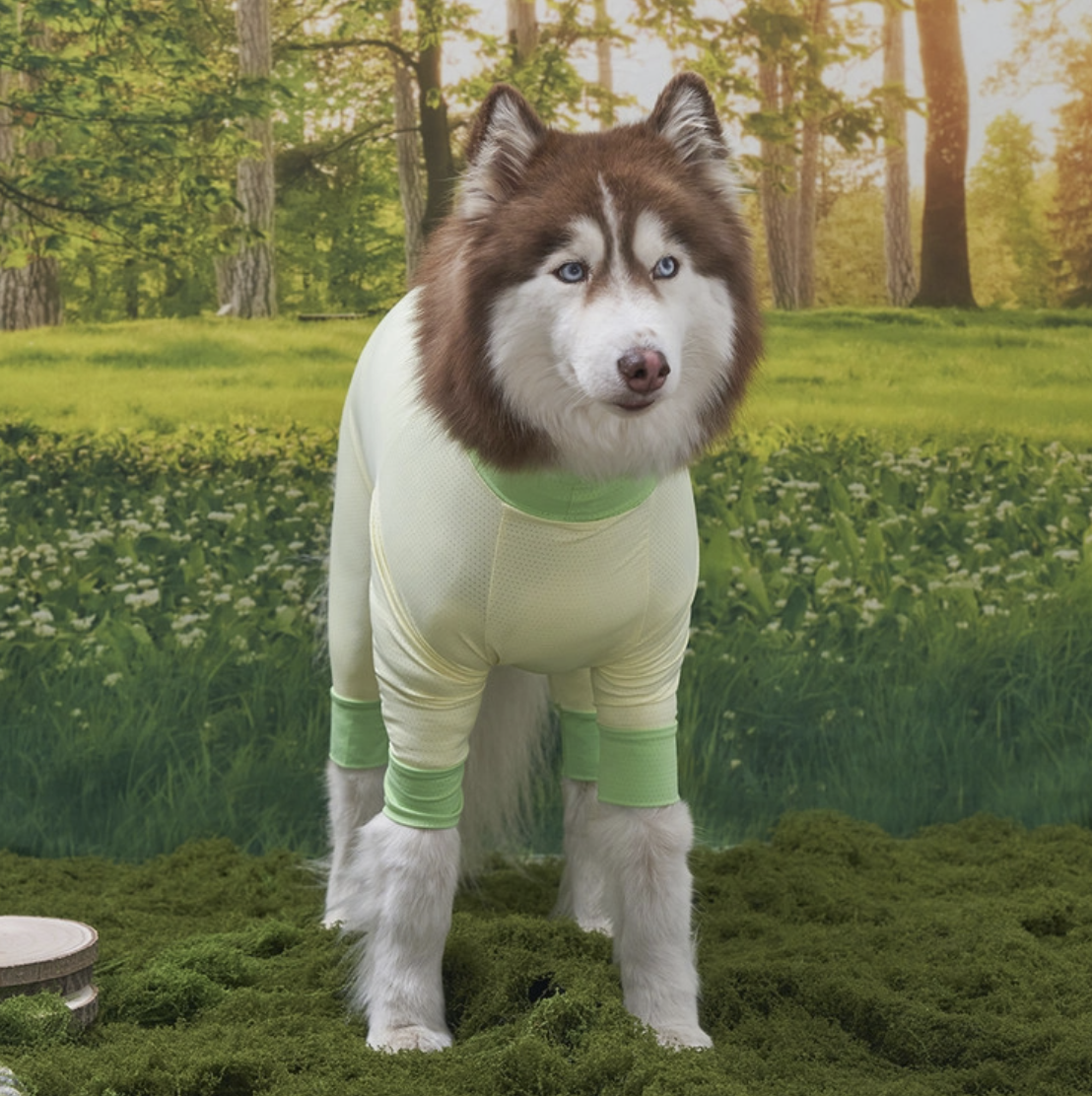 *SuperPet🇰🇷 狗狗全方位防護涼感連身衣(DG414)