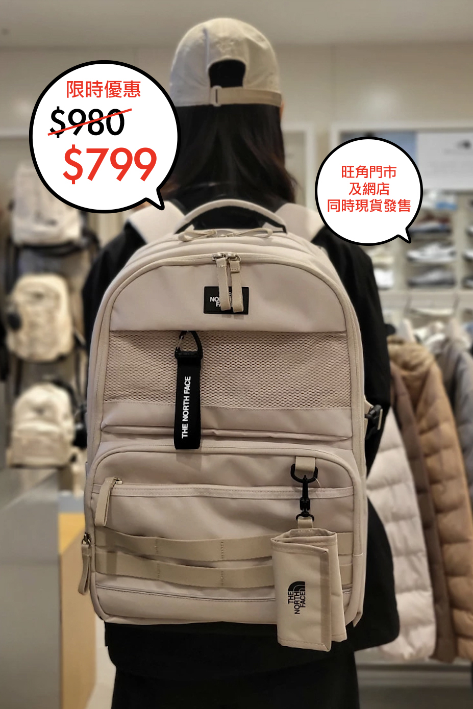 The North face 韓國限定 Dual pro III backpack 系列