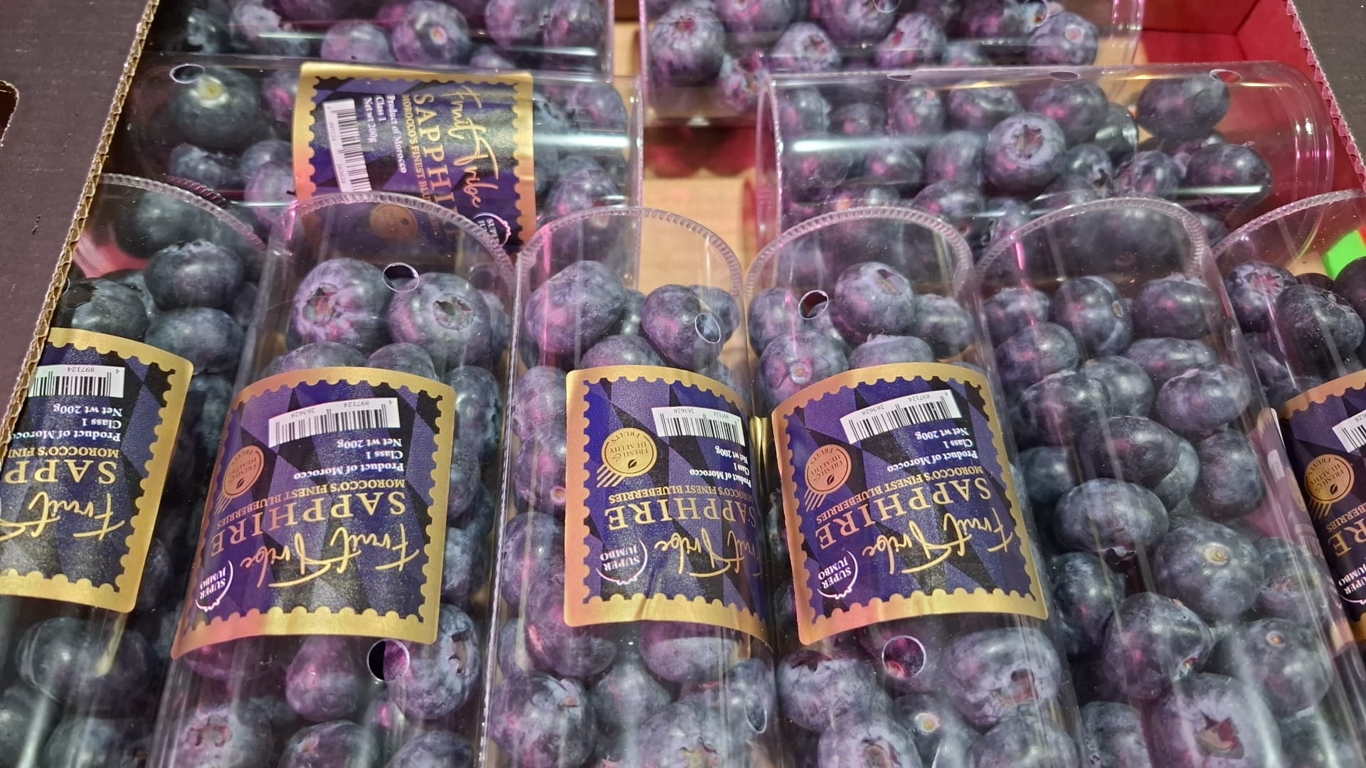 摩洛哥筒装珍寶蓝莓（200g)每份2筒