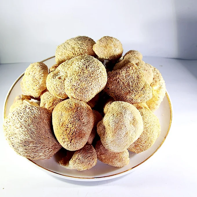 CA005A 猴頭菇150g