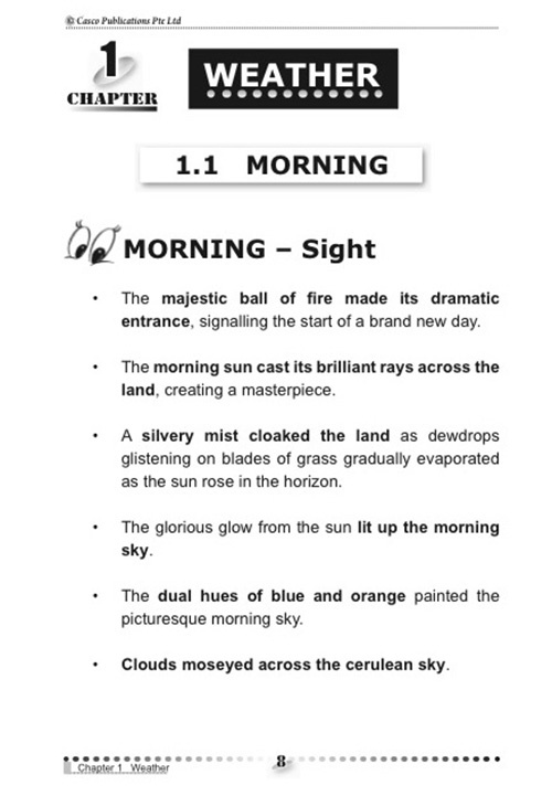 Phrases for Sensational Writing 6