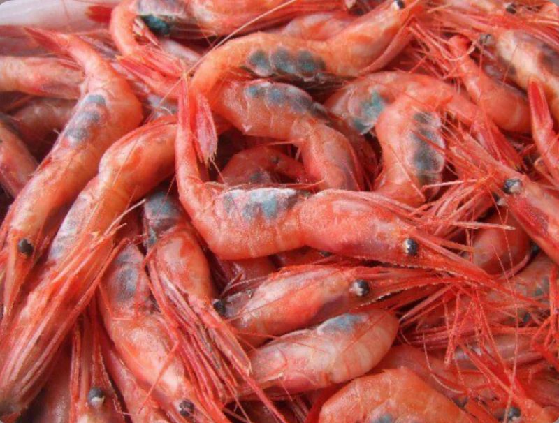 🇷🇺俄羅斯甜蝦 2L - 12隻