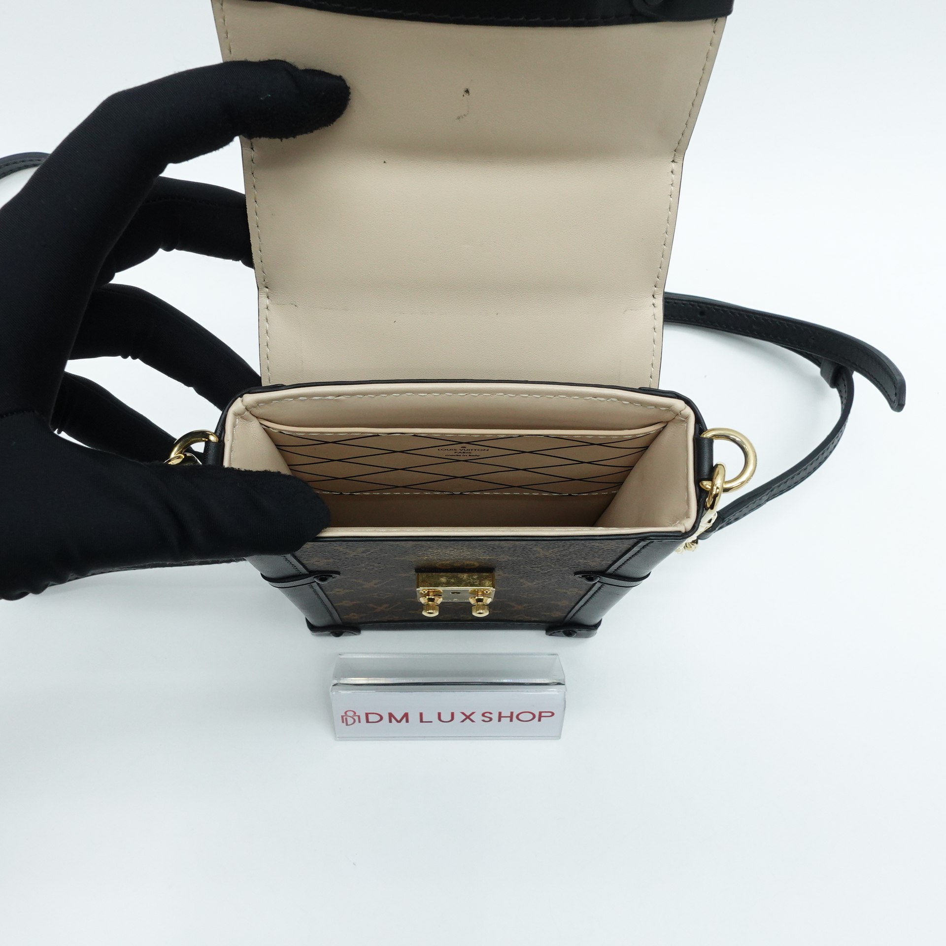 LV Monogram Pochette Trunk