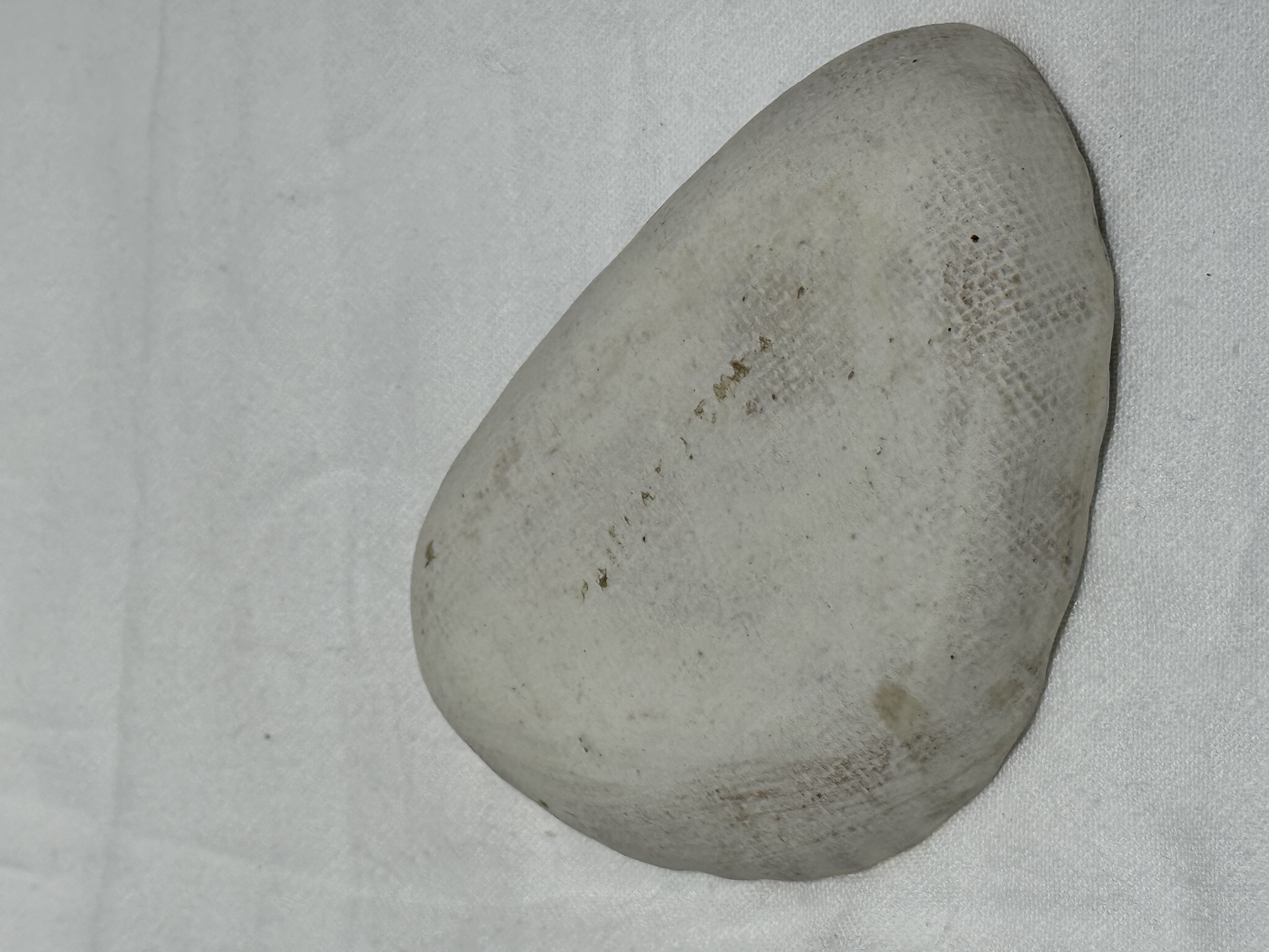 RUTAWA 小料碟 小盤 小皿