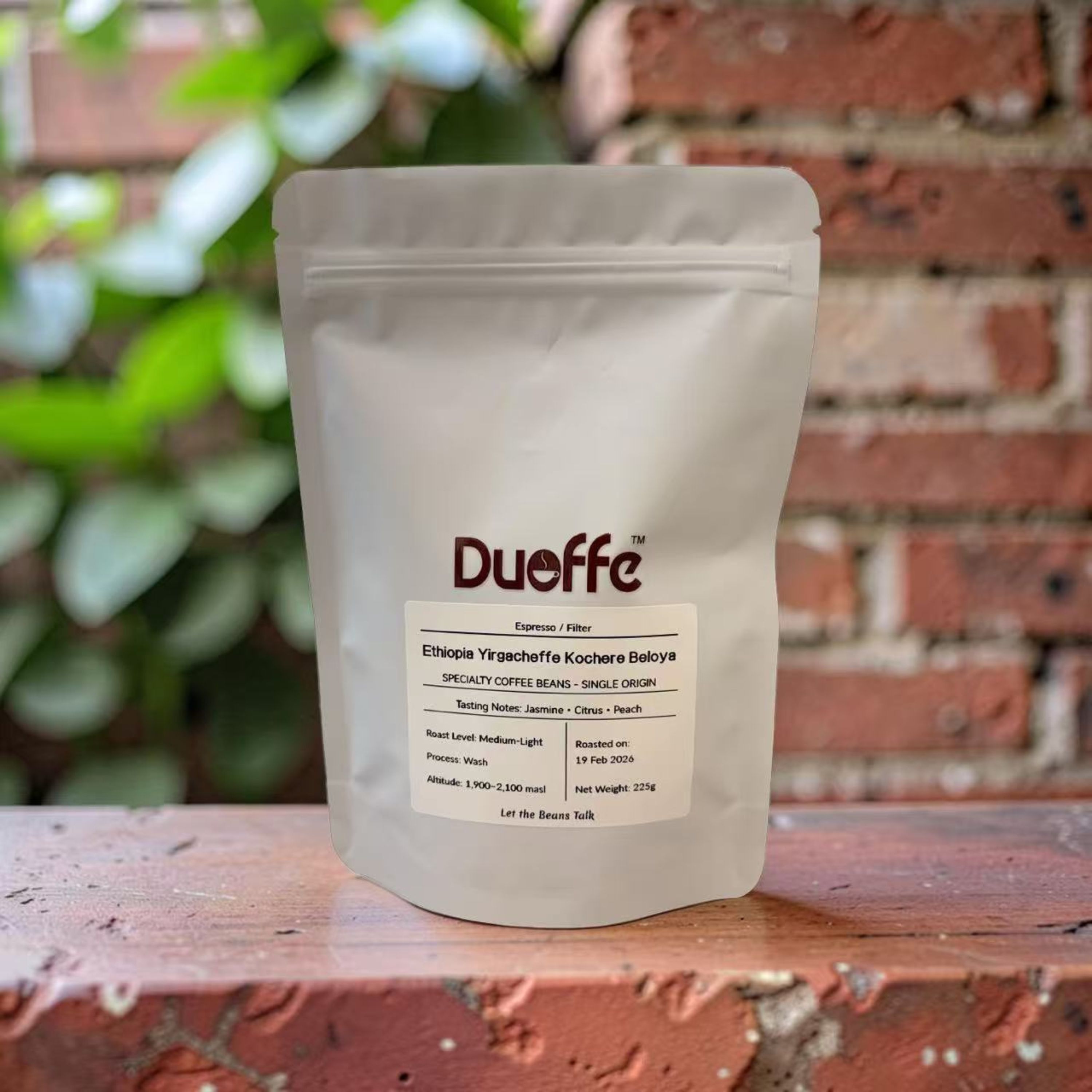 Ethiopia Yigarcheffe Kochere Beloya