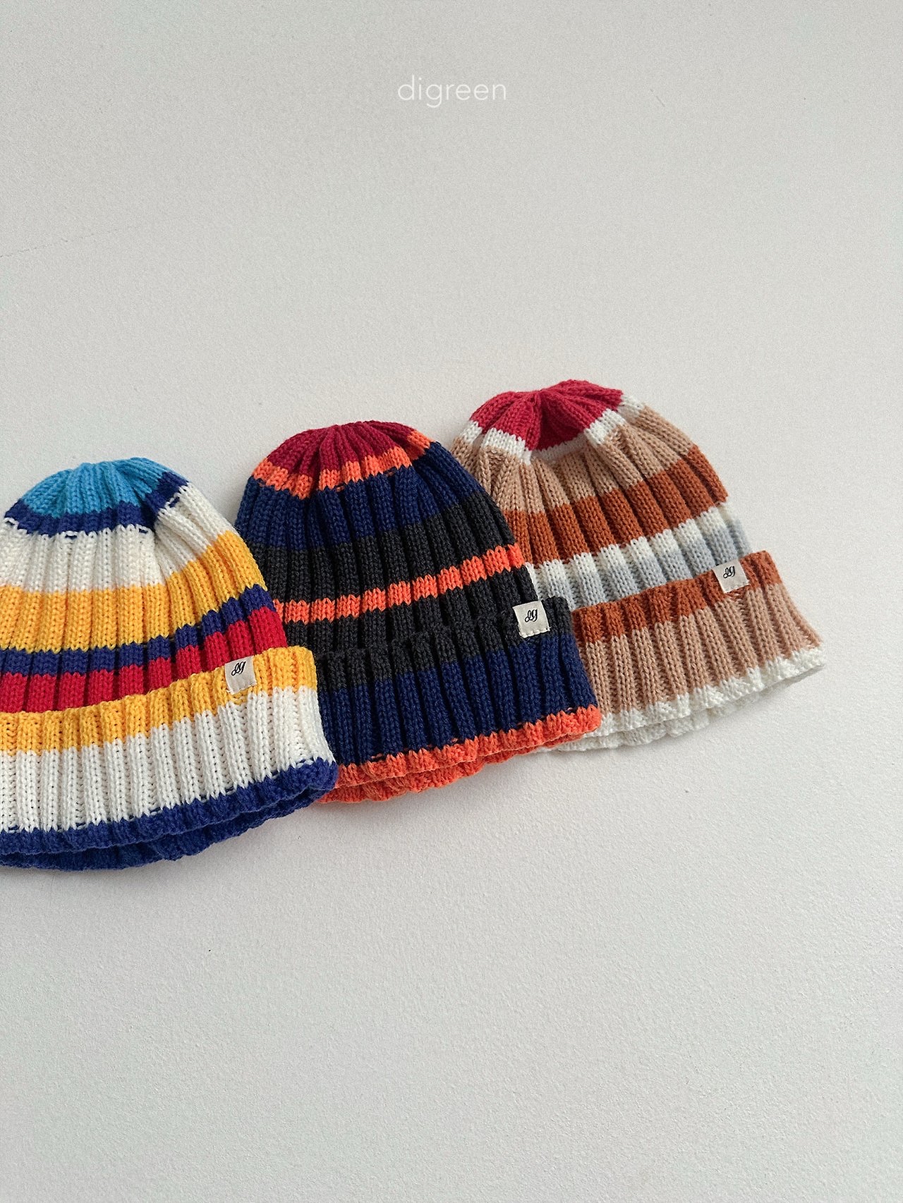 Digreen | multi beanie 