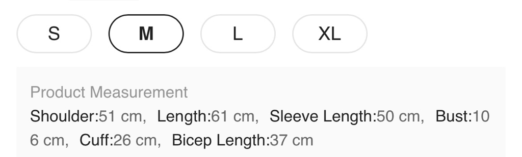 （多色）閃亮透視長袖上衣