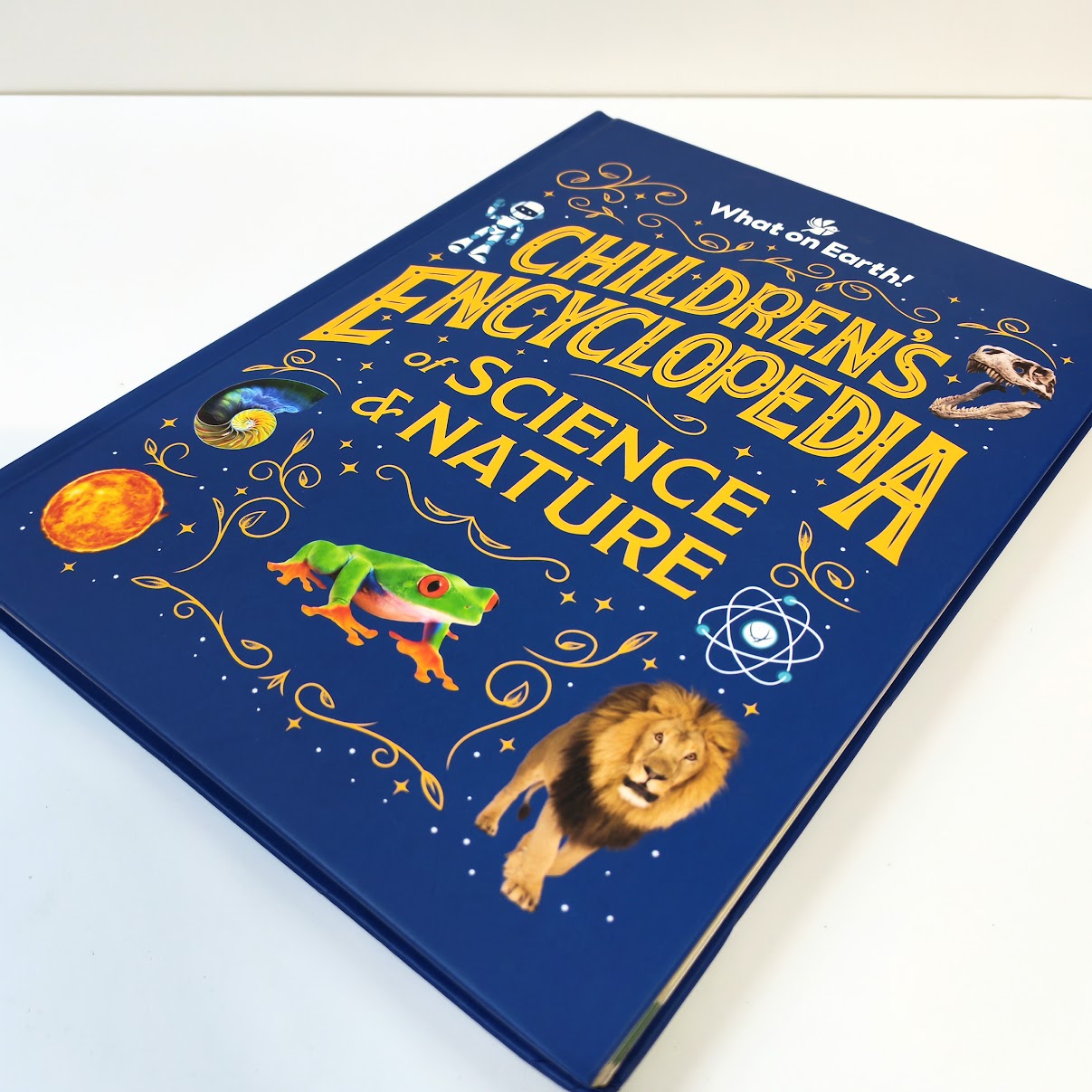 What on Earth! Children's Encyclopedia of science & nature  兒童科學與自然百科全書    B432