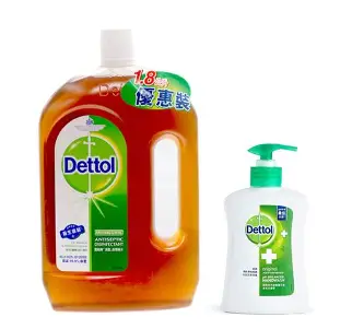 滴露消毒單支（1.8L+潔手液） 6/箱