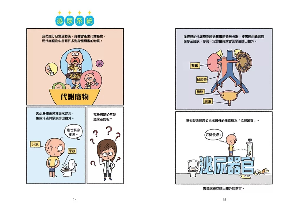 小魯 小醫師復仇者聯盟7：泌尿系統疾病，調整情緒吧！