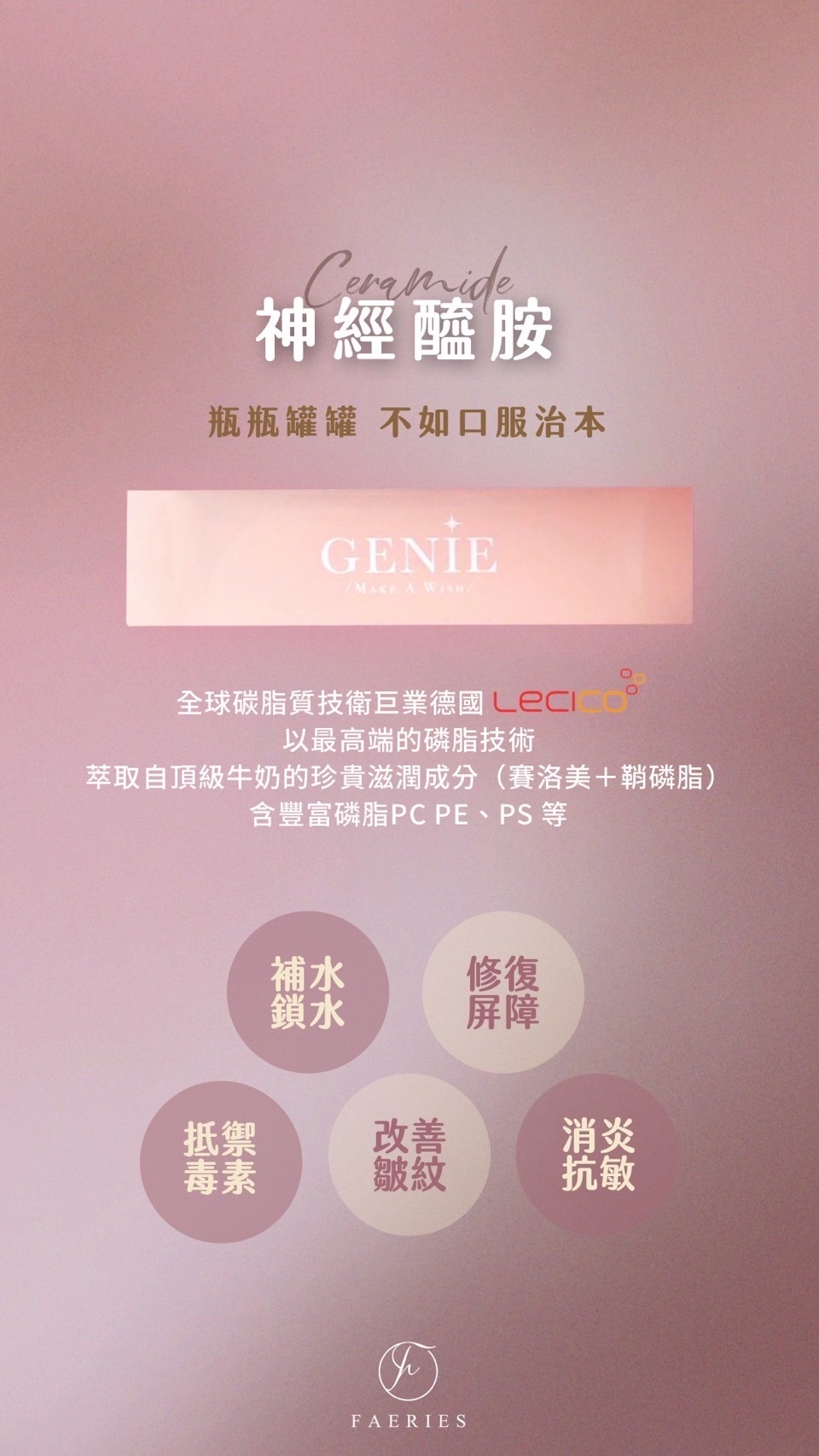 新春限時優惠 即日起至2月26日🧧