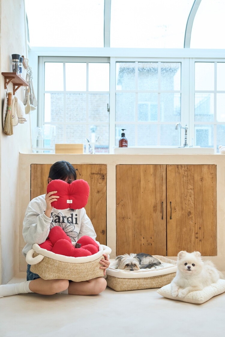 韓國 apple pillow 🍎