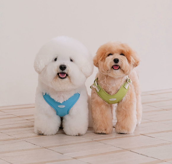 *likalika🇰🇷Breeze Walk X型胸背帶套裝