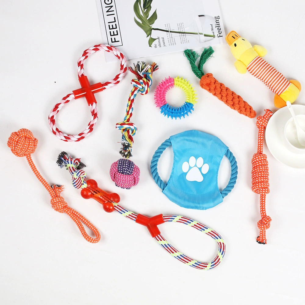 狗狗咬繩磨牙玩具 10件套 顏色款式隨機 UB0257