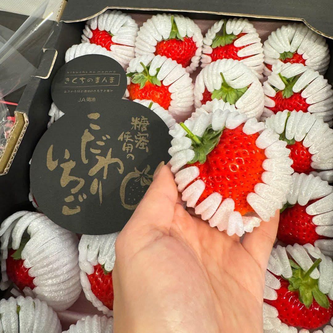 日本菊池士多啤梨（24-30粒）