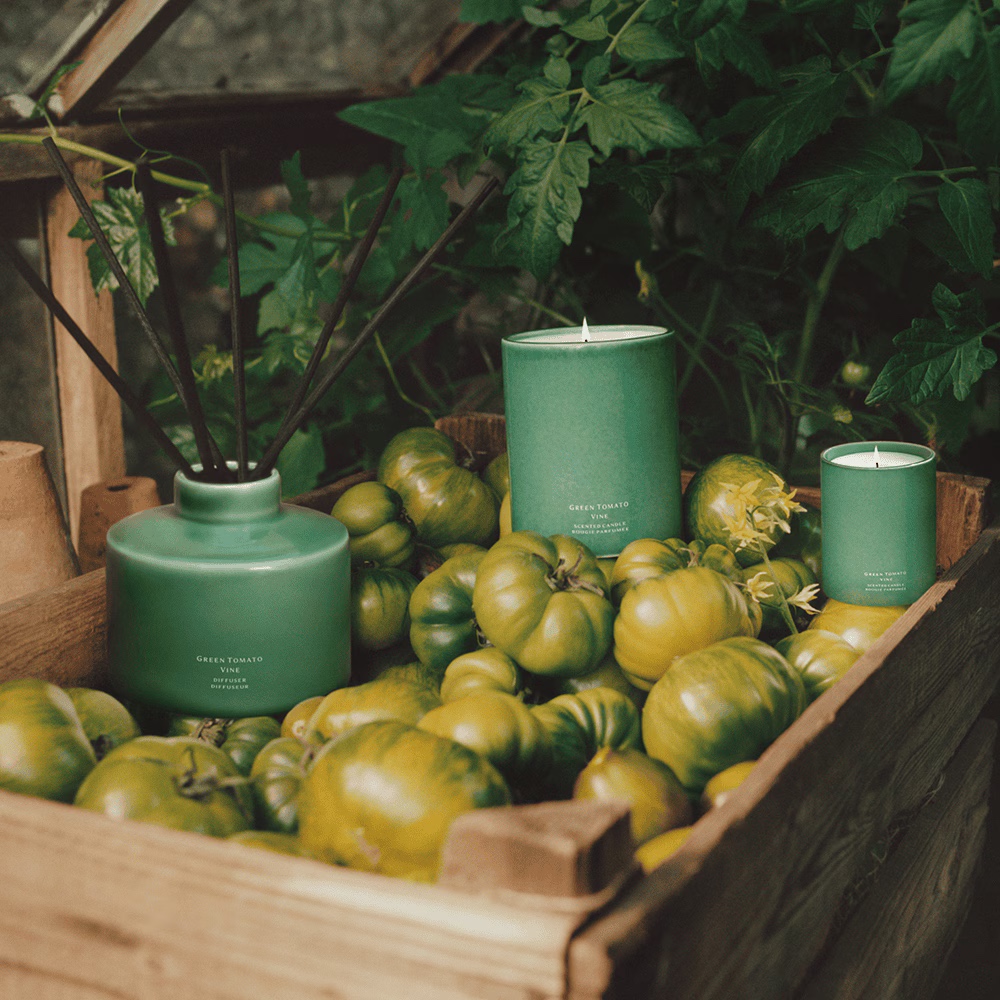 JO MALONE Green Tomato Vine Townhouse Diffuser - Veggies Edition 蕃茄藤蔓工藝藤枝擴香組 350ml (英倫蔬果園限定版)
