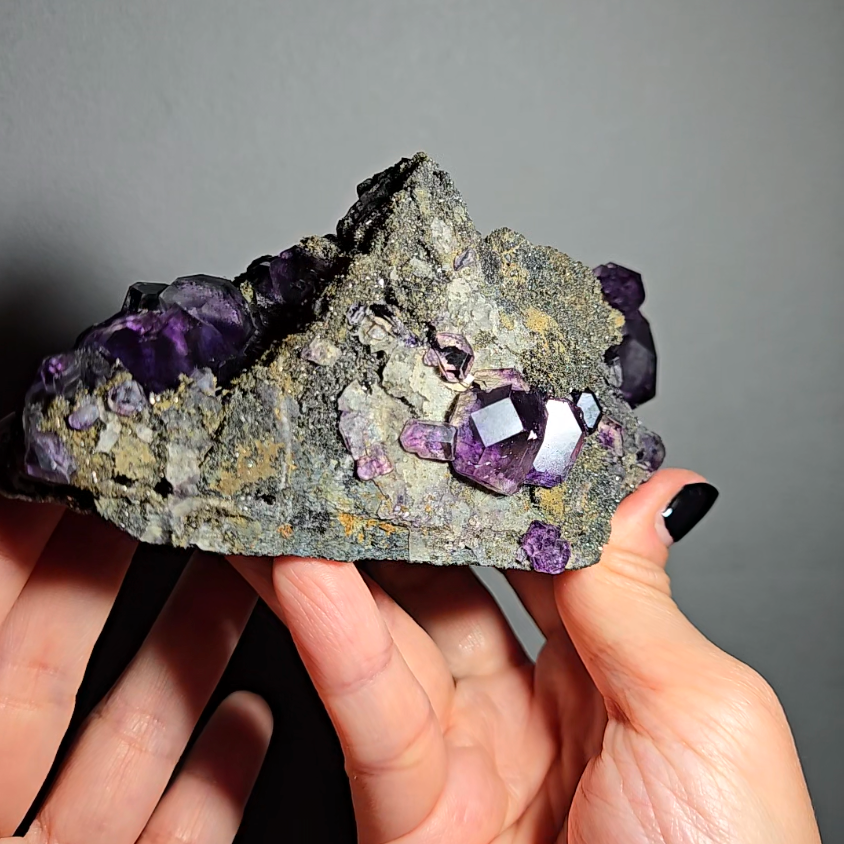 Tanzanite fluorite cluster with big dodecahedral gems - FL359