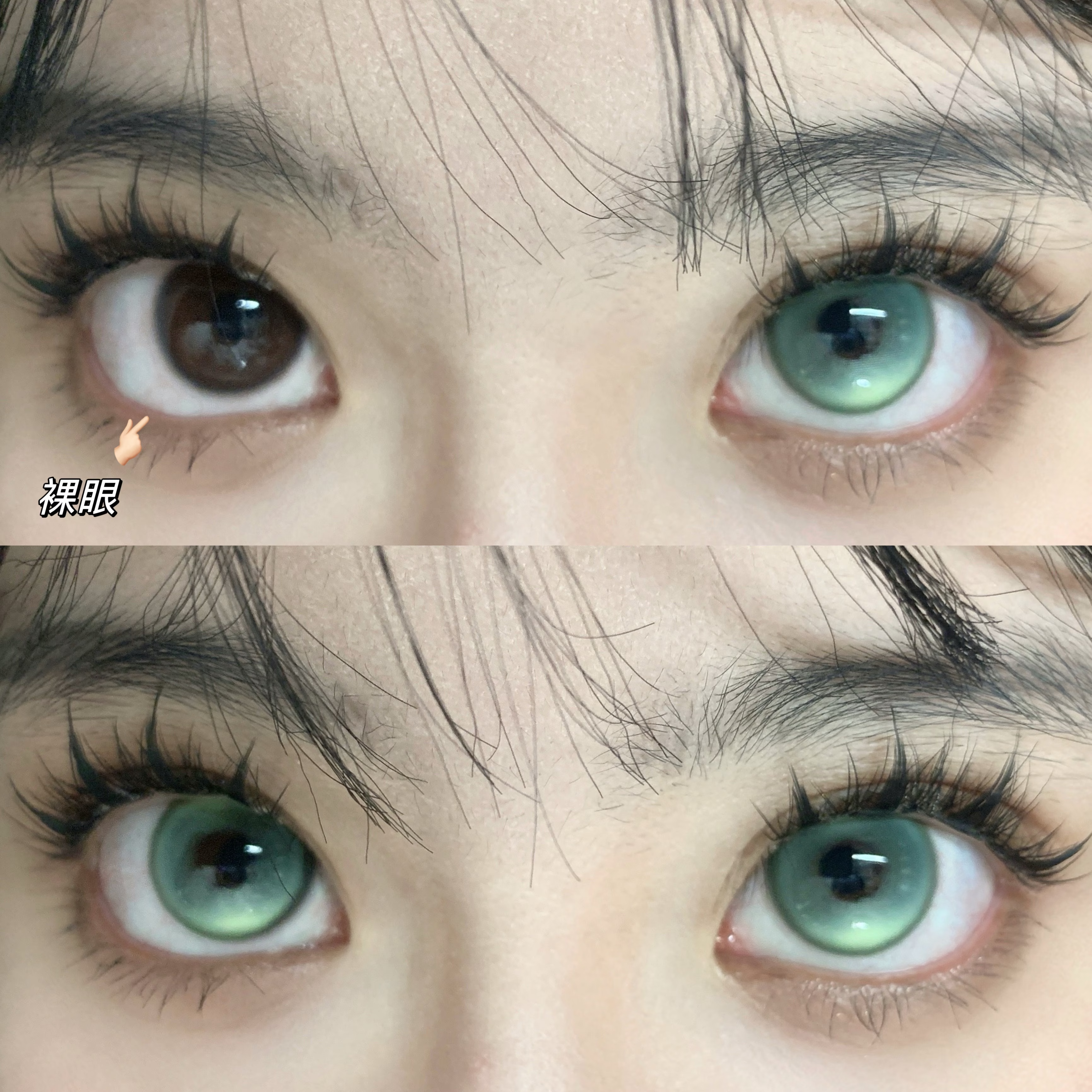 EggUncle 半年拋 孤魂遊墓園/浮遊試驗體/虛幻國度/柏林女巫/末世沙丘...