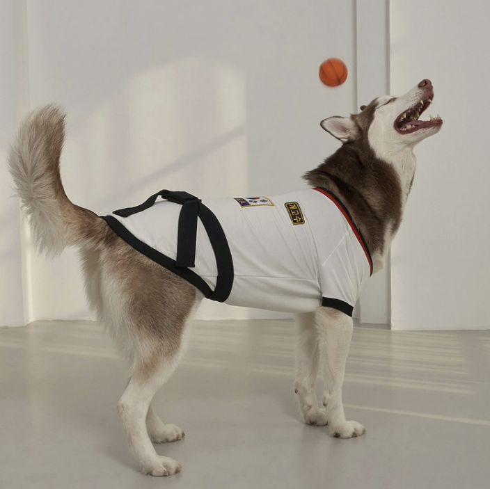 *SuperPet 🇰🇷 寵物跆拳道服（DG192）