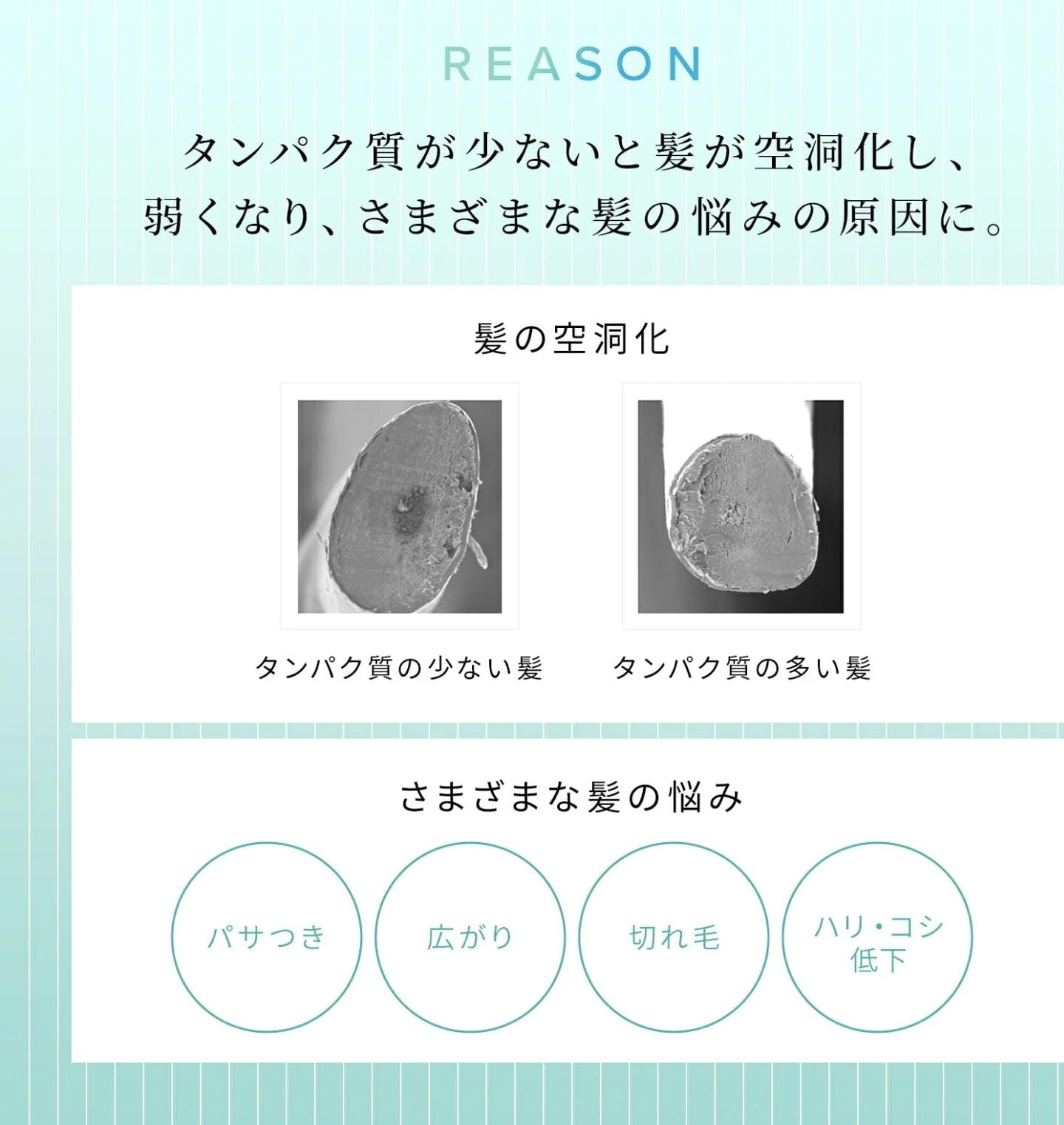 ReFa 初乳蛋白修護直髮洗髮露 Straight Line丨溫和清潔 × 深層修護 × 柔順直髮丨500g