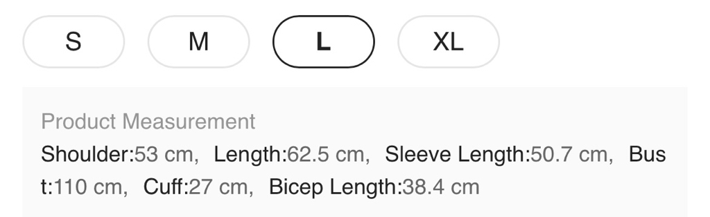 （多色）閃亮透視長袖上衣