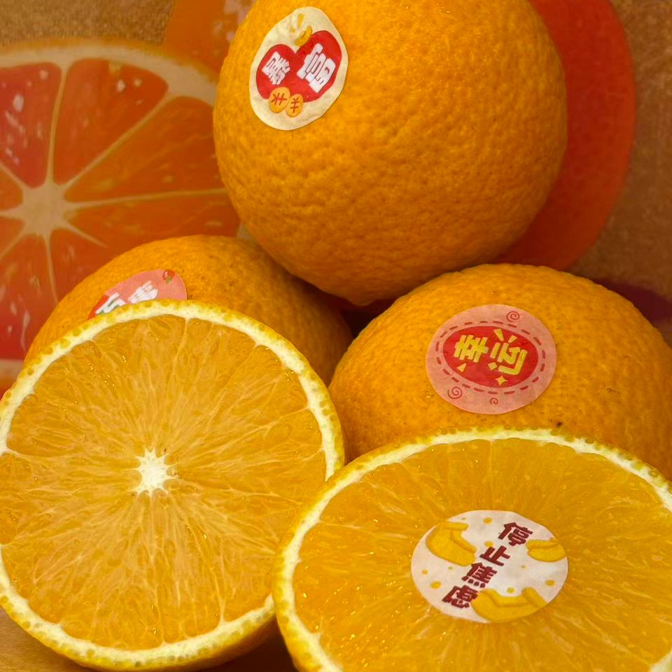 樱金蜜柑礼盒｜高糖度·爆汁·送礼首选 Sakura Gold Mandarin – Limited Edition  - 1CTN10PCS