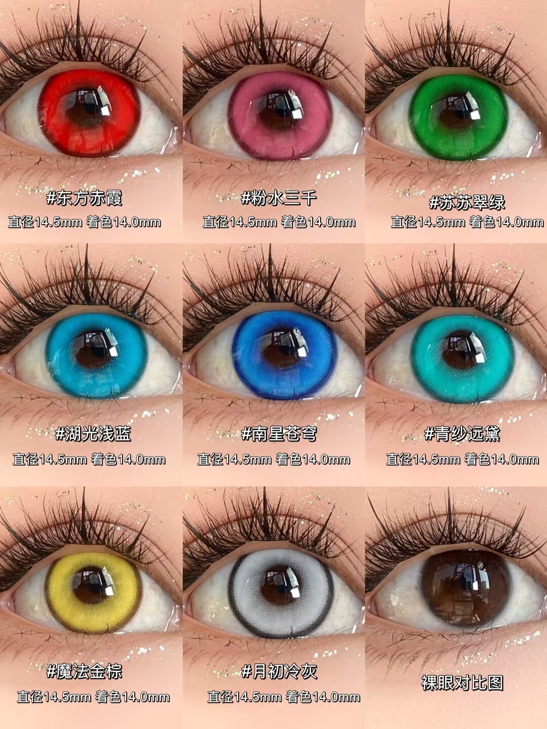 Apricotcon 日拋2片 淮竹系列