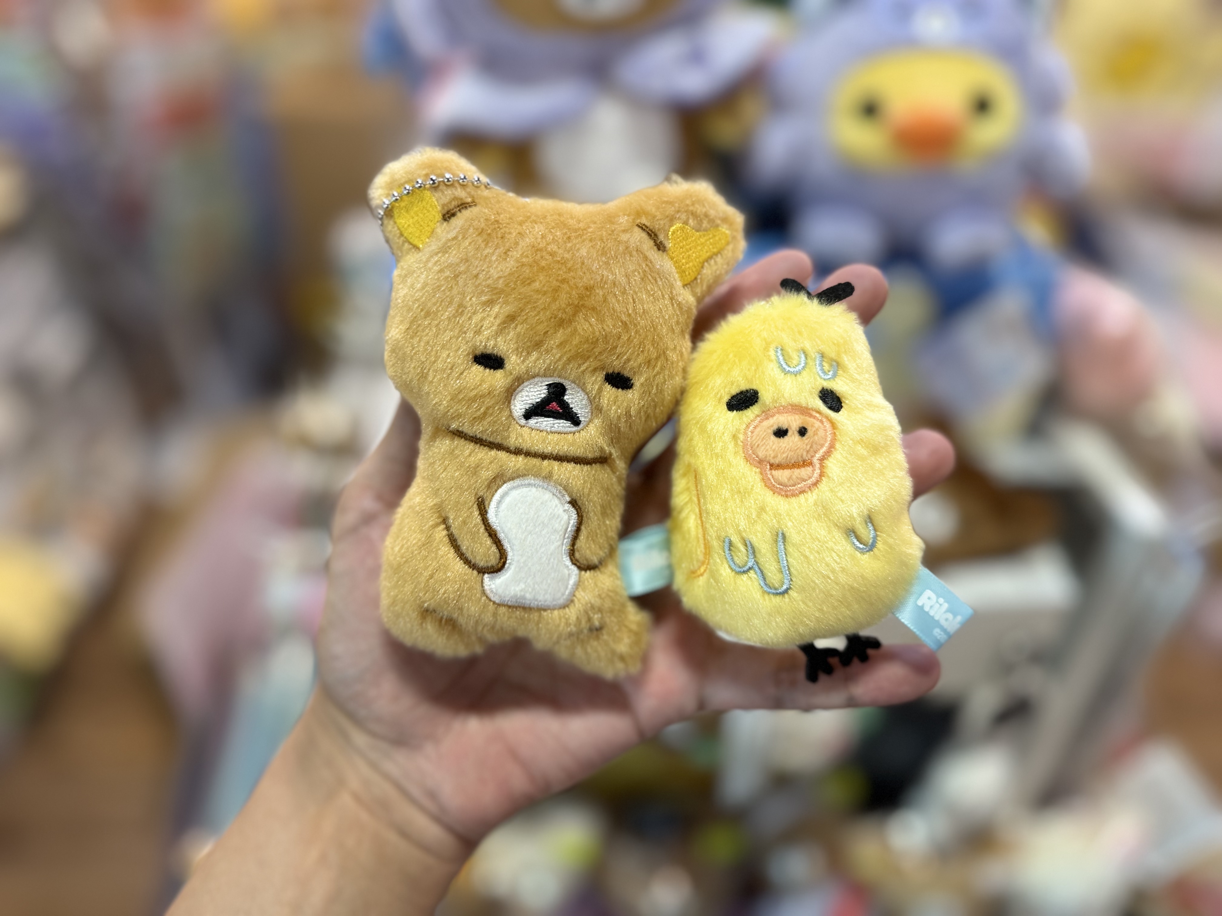 《現貨》全新Rilakkuma瓦瓦貓系列掛飾