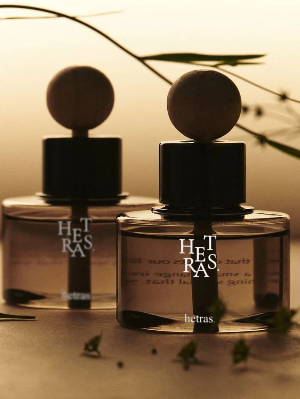 HETRAS | Premium 車用香氛擴香瓶 77ml x 2pcs