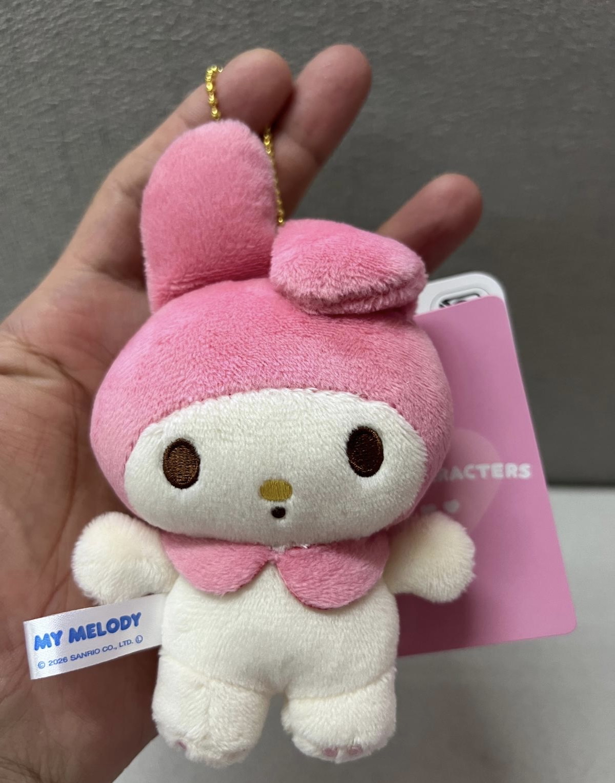 🎌日本直送🎌Sanrio 日本限定款 公仔掛飾